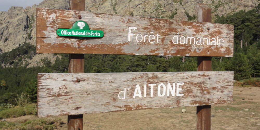 Forêt et Cascade d’Aïtone