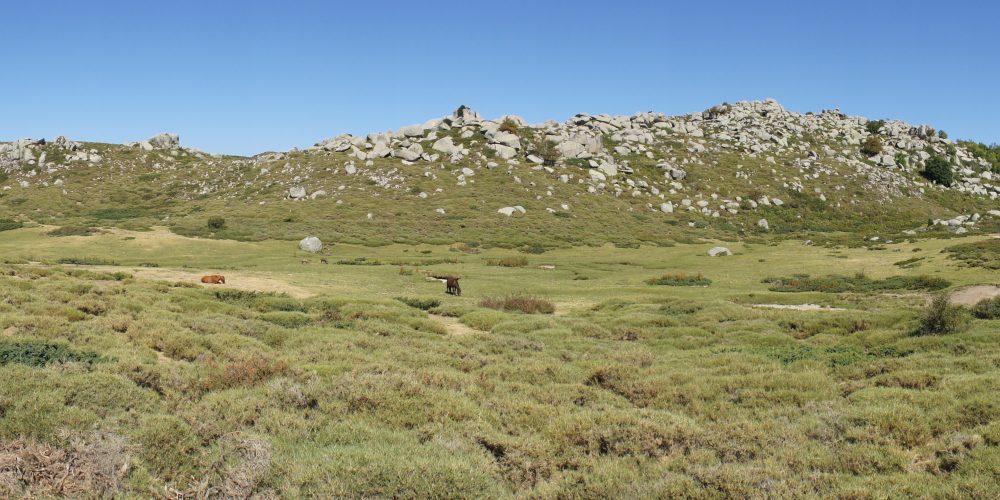 Plateau du Coscione Via Les Aiguilles de Bavella